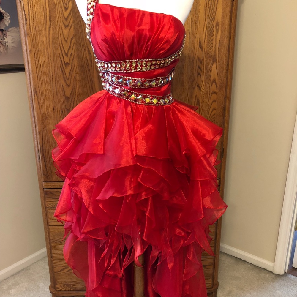 Dana Mathers Dress
